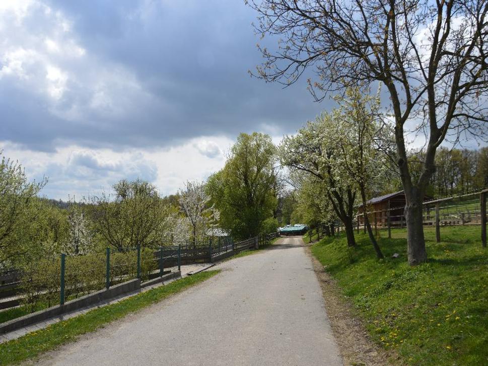 Obrázok blogu