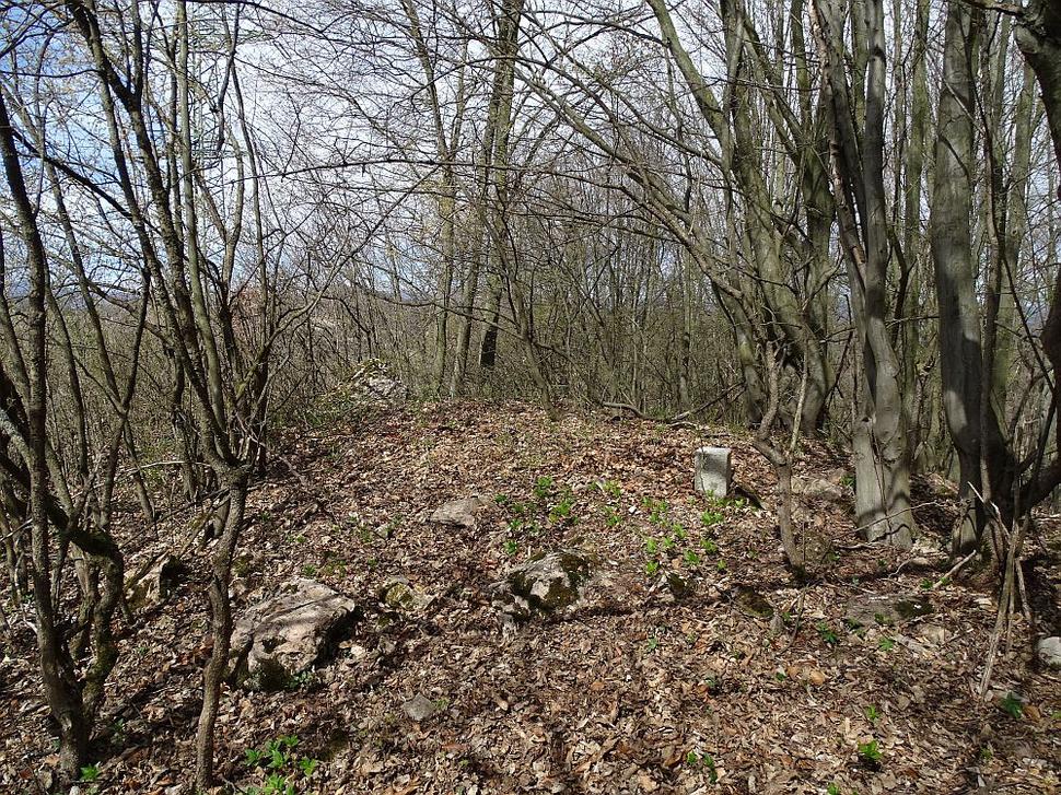 Vrchol Stráže nad Hornou Mičinou. V teréne sme nezistili ostatky vartovky.