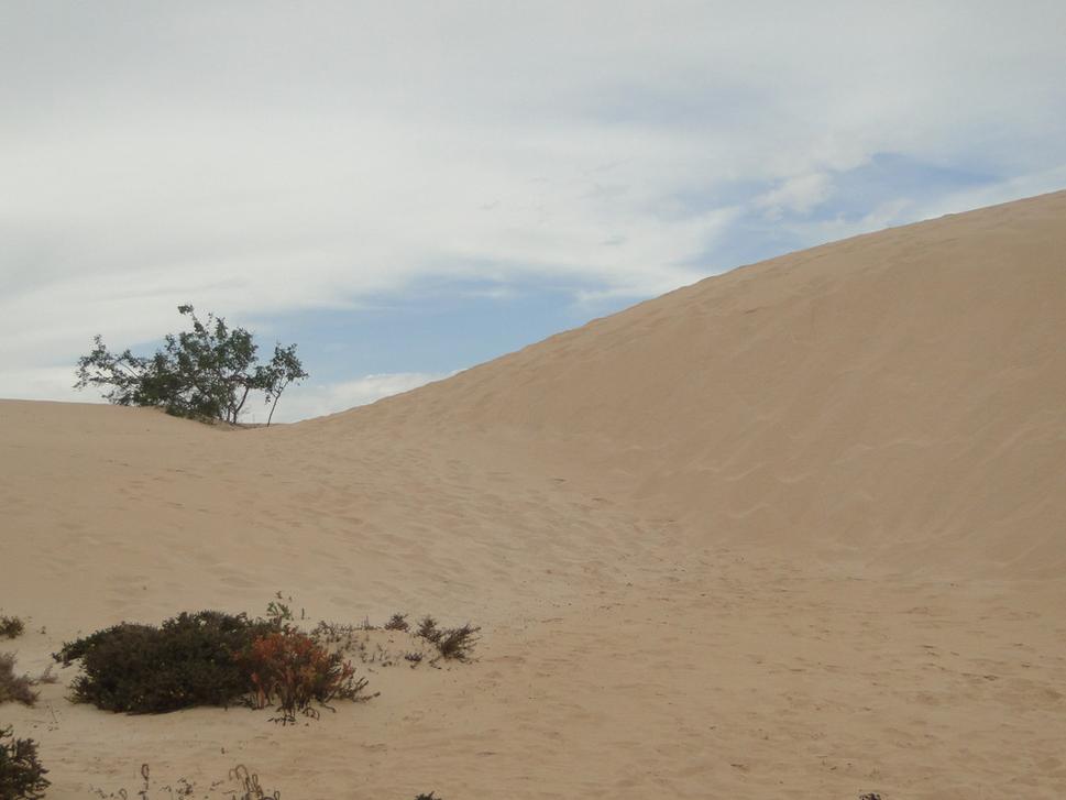 Ticho a vietor v pieskových dunách v Corralejo