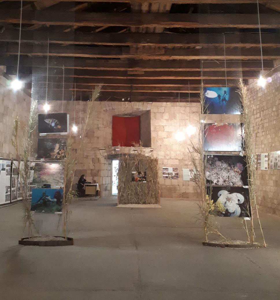 Expozícia krásnych fotiek podmorského sveta v morskom rybárskom múzeu, ktoré je hneď vedľa miestneho trhoviska v meste Pag.
