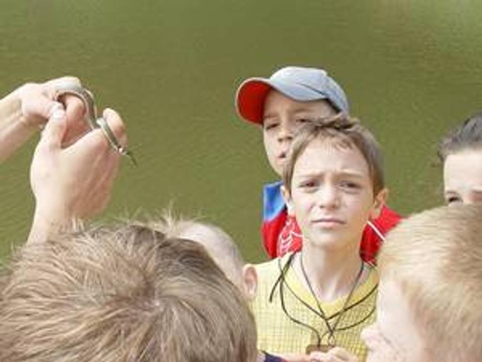 Obrázok blogu