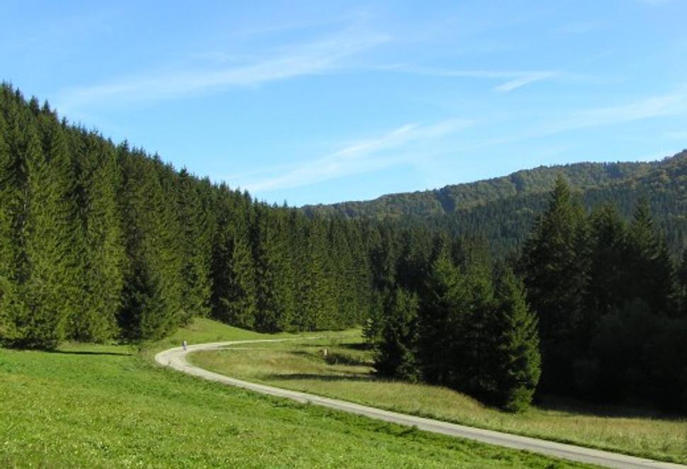Obrázok blogu