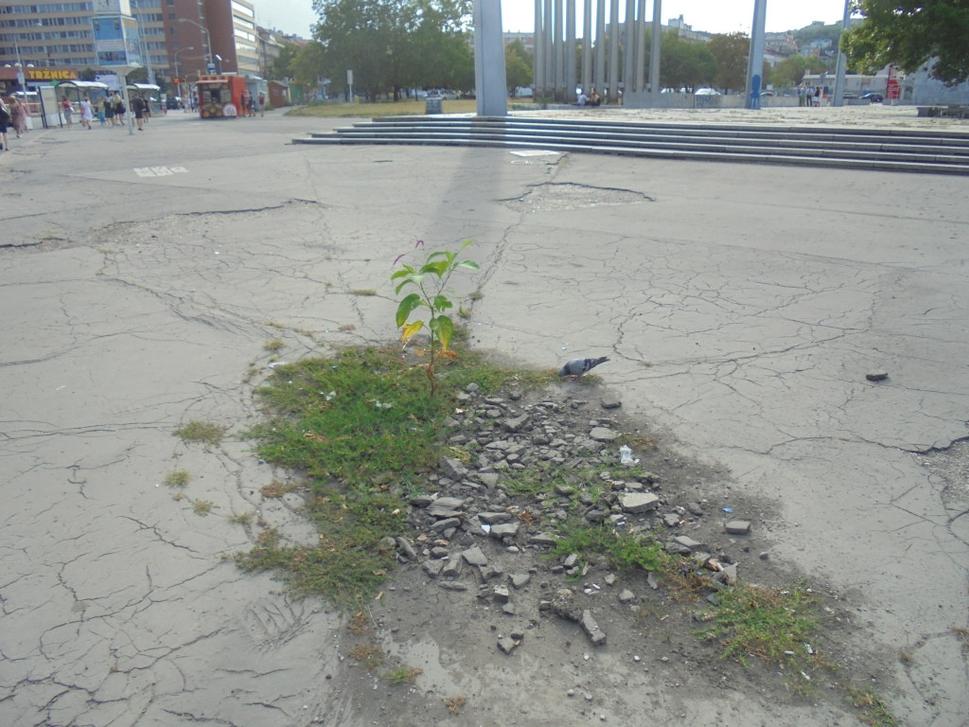 Trnavské mýto. Ani toto sa nedá komentovať.