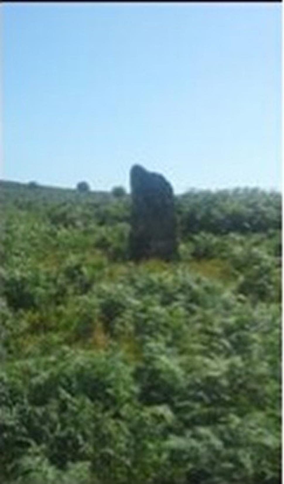 Dartmoor