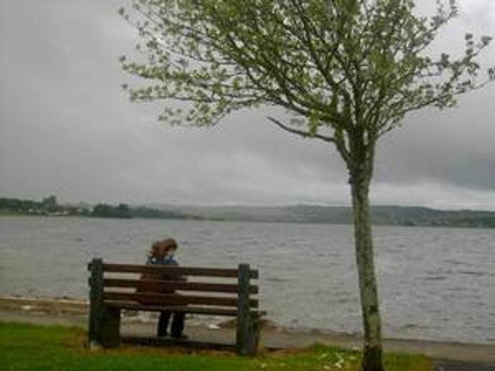 Jarka pri jazere Lough Rea