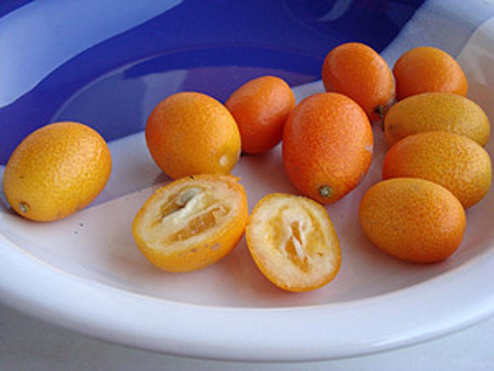 Na snímku je ovocie Kumquat.