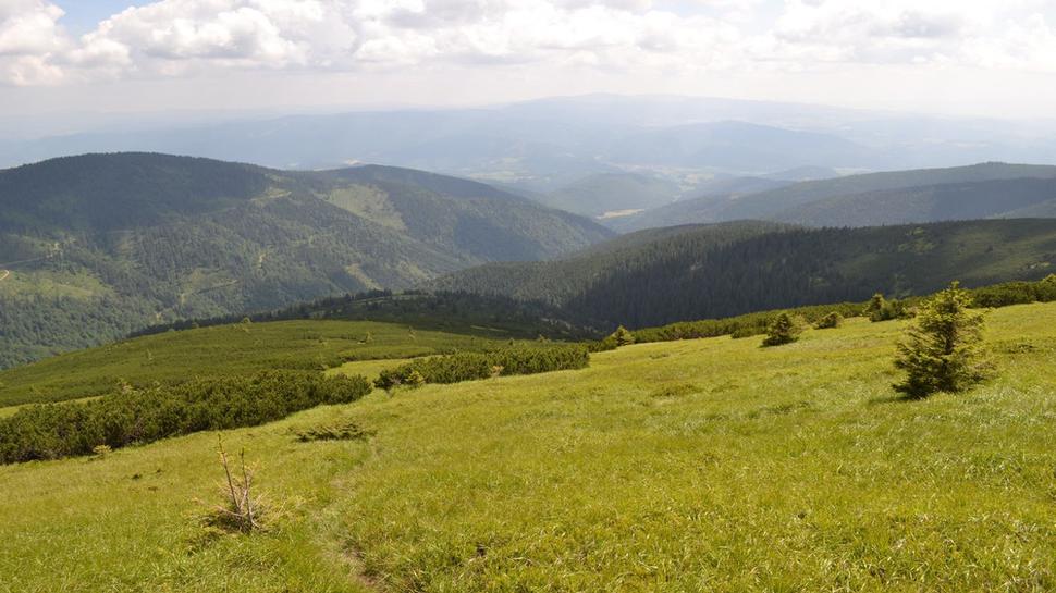 Zostup po zelenej turistickej značke - smer Sopotnická dolina.