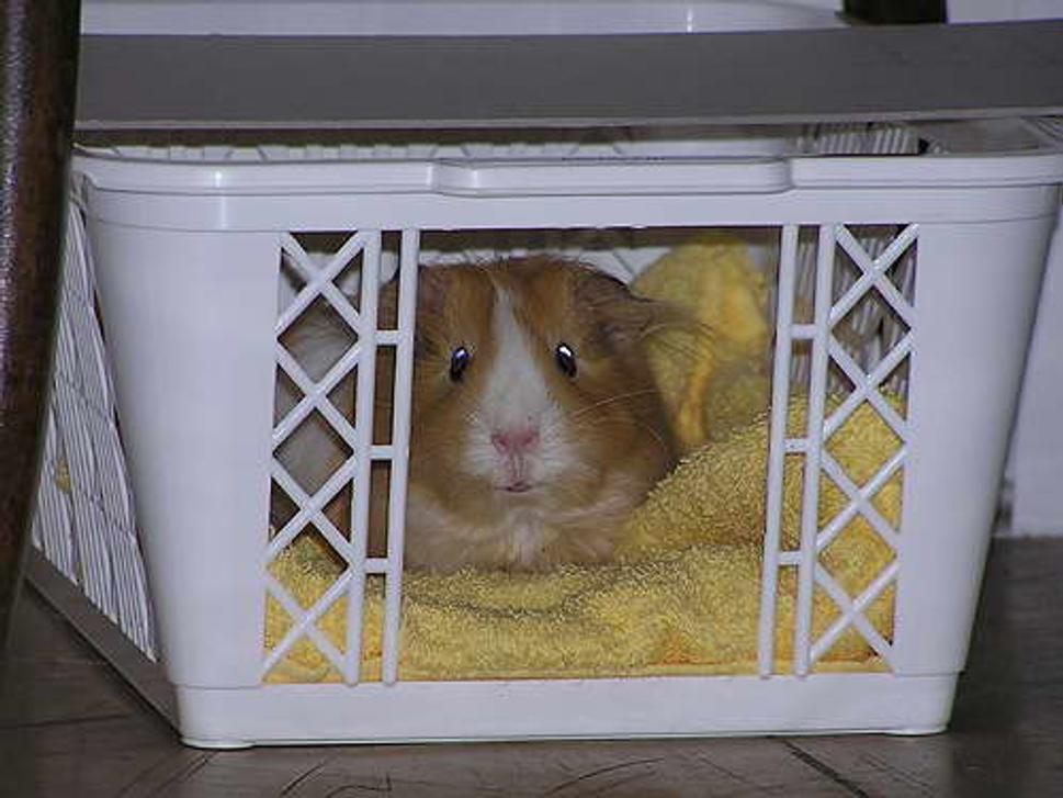 Obrázok blogu
