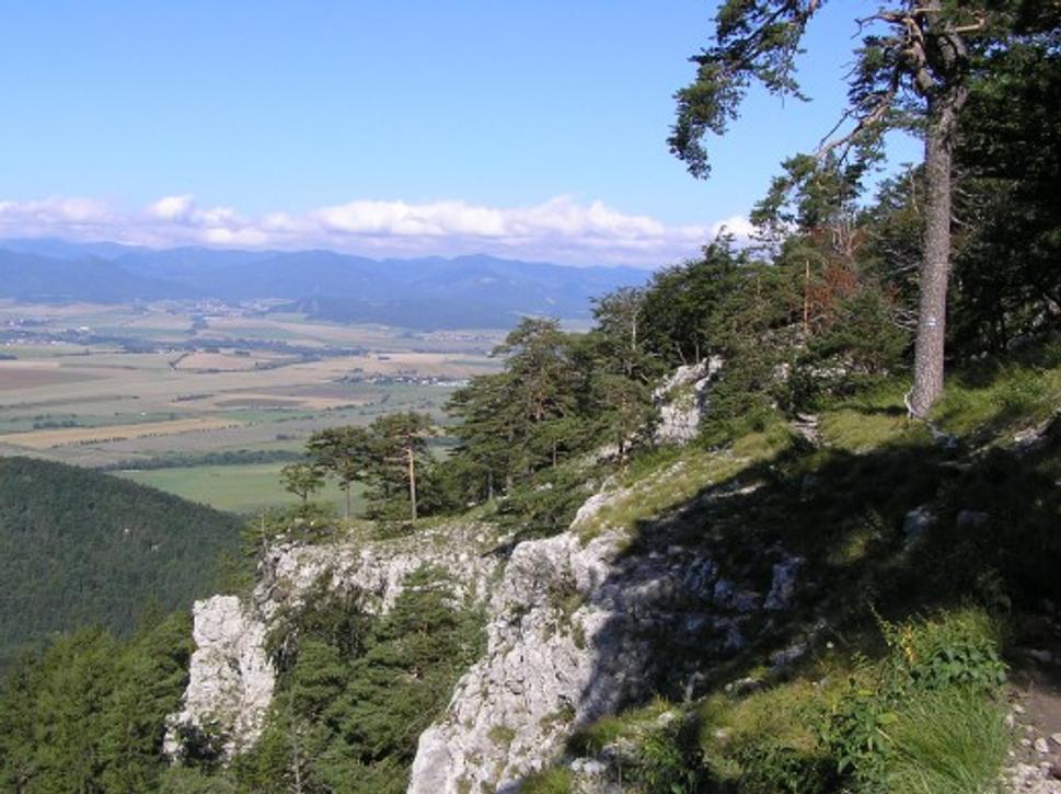 Obrázok blogu