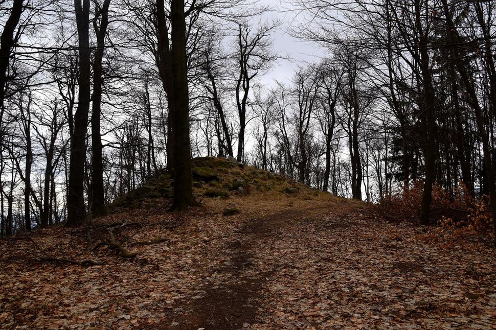 Javorový vrch