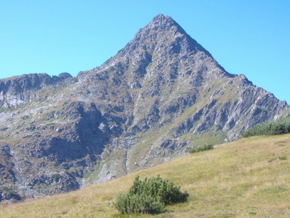 Obrázok blogu