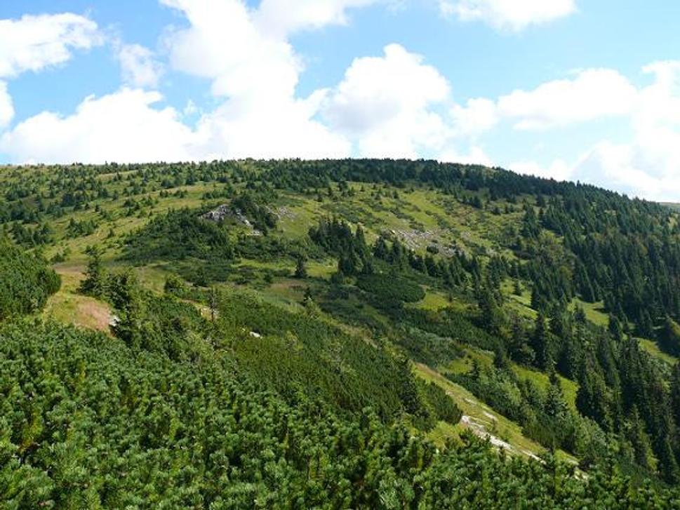 Pod Veľkým bokom