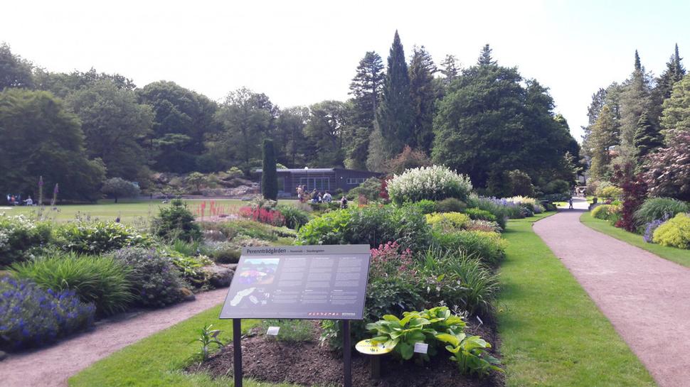 Botanická záhrada