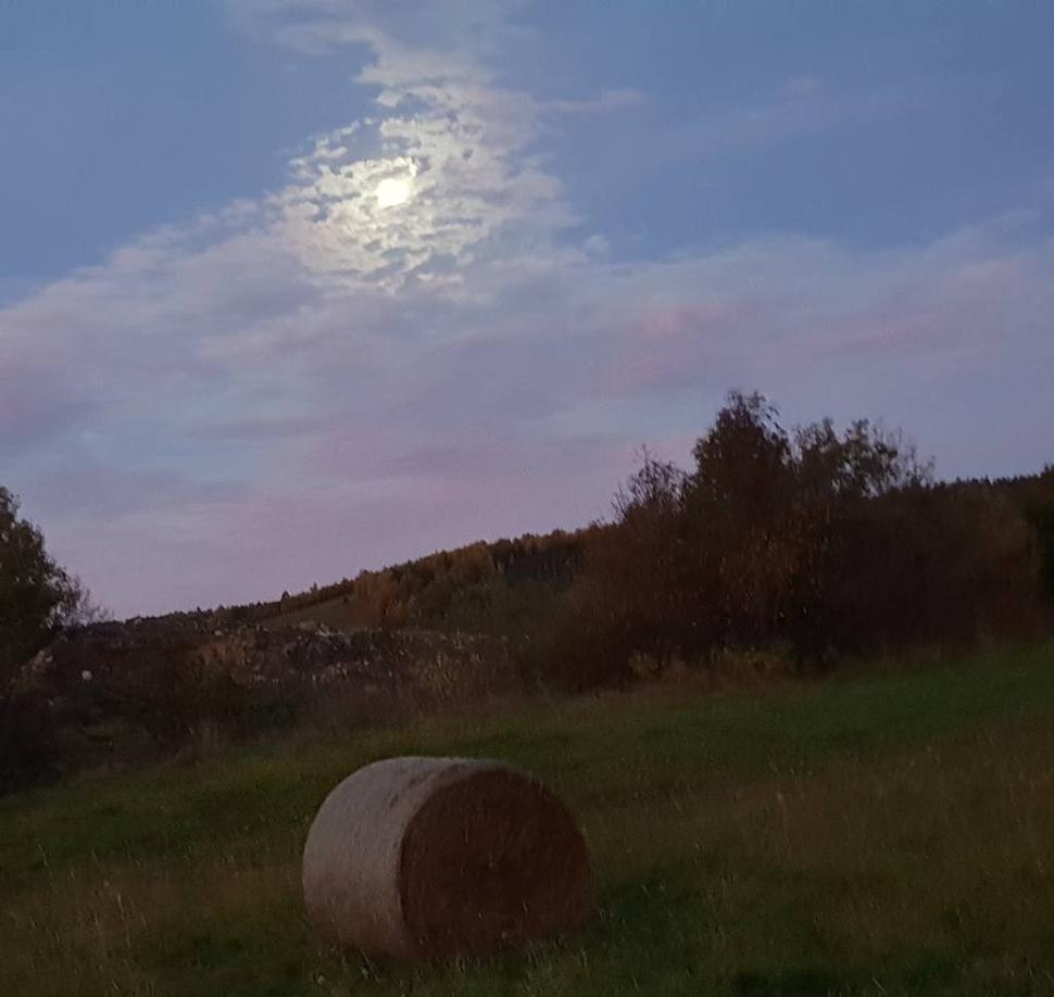 Spln v Baranovi bol 13.10. Keď sa naň pozriem etikoterapeutickým pohľadom, vidím veľký predpoklad na harmonizáciu polarity (zistite si ju podľa numerologickej mriežky). Planéty so znameniami totiž vytvárali mužsko-ženské zoskupenie (Slnko-Váhy, Luna-Baran), a tak svietia každému do možností rozbehnúť sa do svojej polarity. Často na sedeniach počúvam, že najmä ženy s mužskou polaritou nevedia, ako sa cítiť ženou. Tieto dni po splne nás planéty podporujú, aby sme harmonizovali svoju vnútornú ženu a svojho vnútorného muža, nech sú vyrovnaní a v spojení.