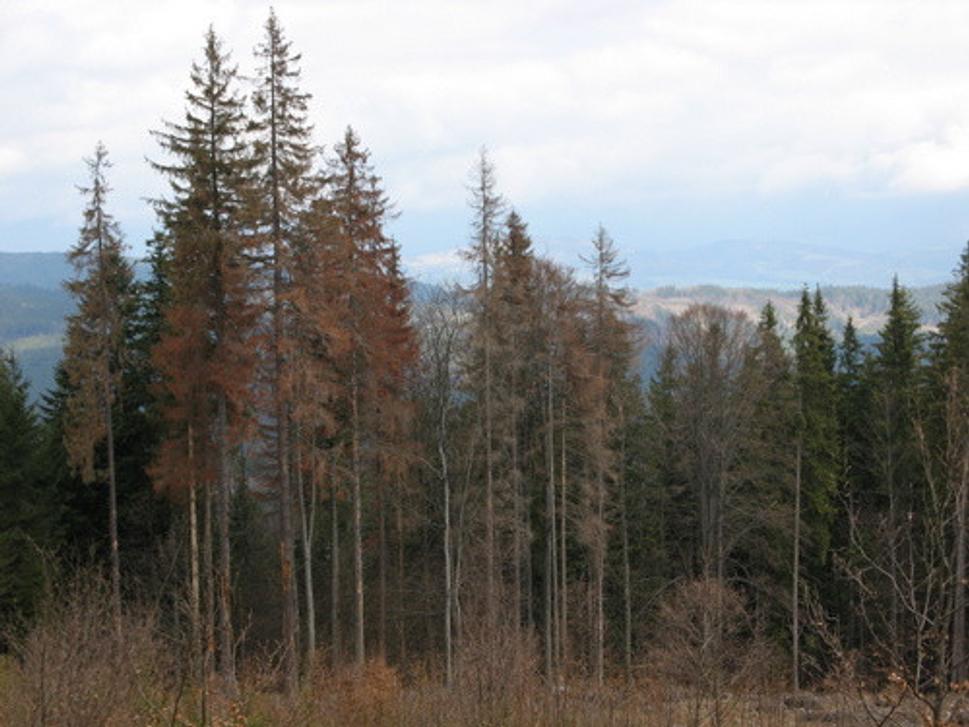 Obrázok blogu