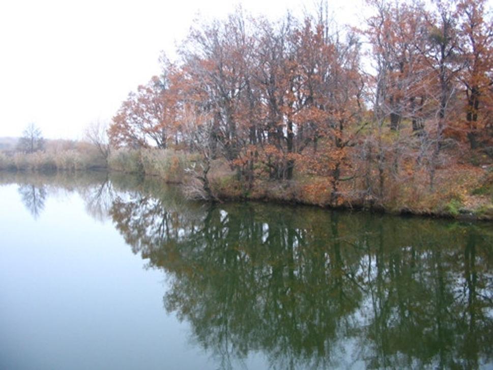 Obrázok blogu