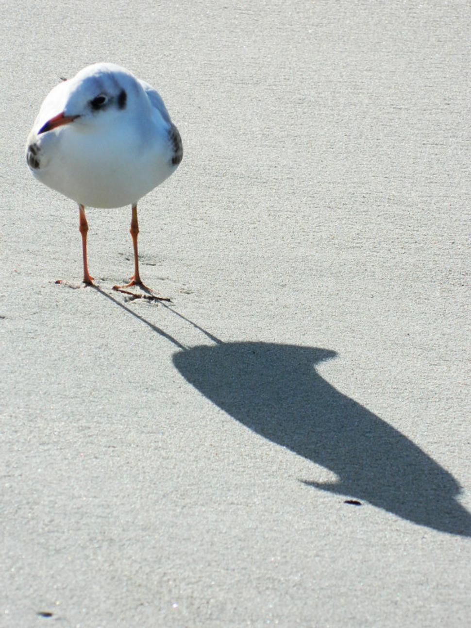 Obrázok blogu