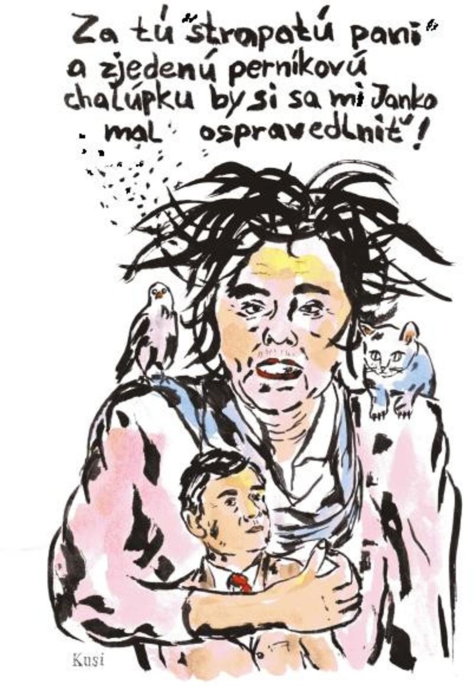 Na obrázku je riadne strapatá bosorka, ktorá sa náhodou trochu podobá na bývalú ministerku zahraničia Maďarska ako drží jednou rukou malého chlapca, ktorí sa má náhodou dospelú tvár, podobnú jednému národniarskemu politikovi. Bosorka má na jednom pleci mačku a na druhom jej sedí vrana. Bosorka hovorí: "Za tú strapatú pani a zjedenú perníkovú chalúpku, by si sa mi Janko mal ospravedlniť!"