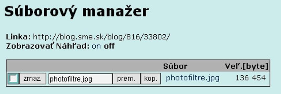 úspešne vložená cesta k fotografií (súboru)