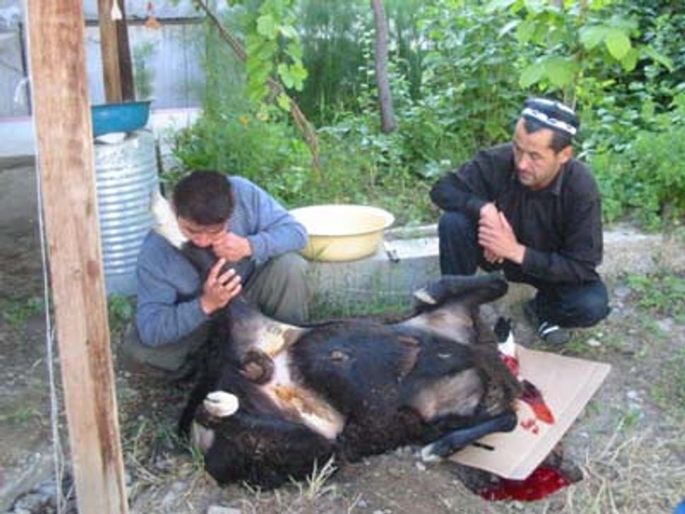 Tajikistan
