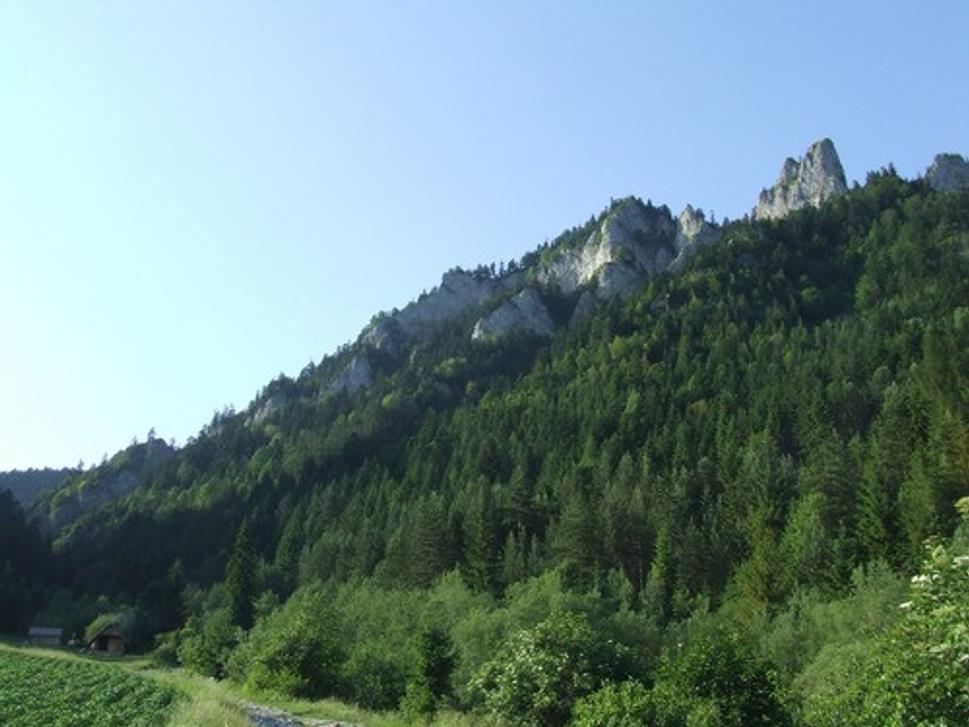 Obrázok blogu