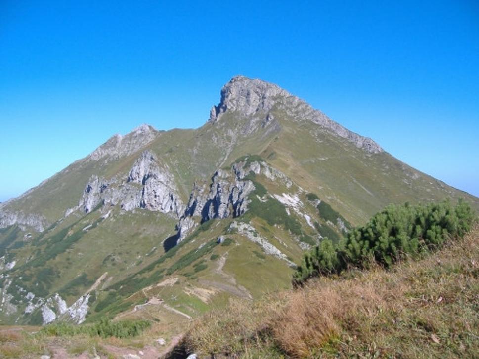 Obrázok blogu