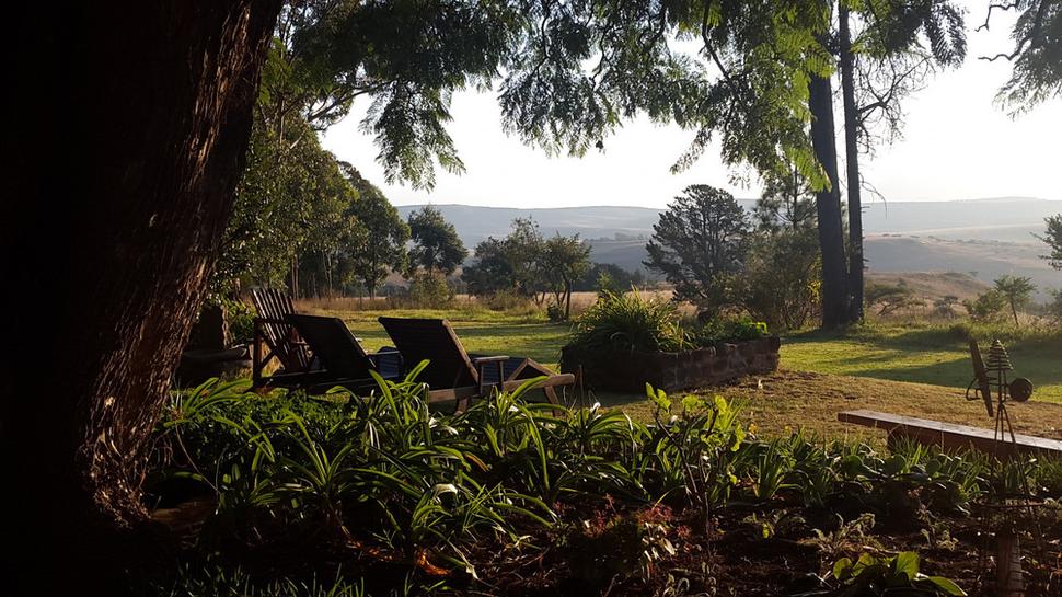 Antbear Lodge