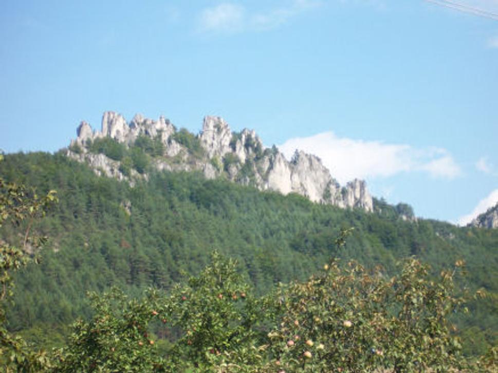 Sulov nas kazdodenny :)