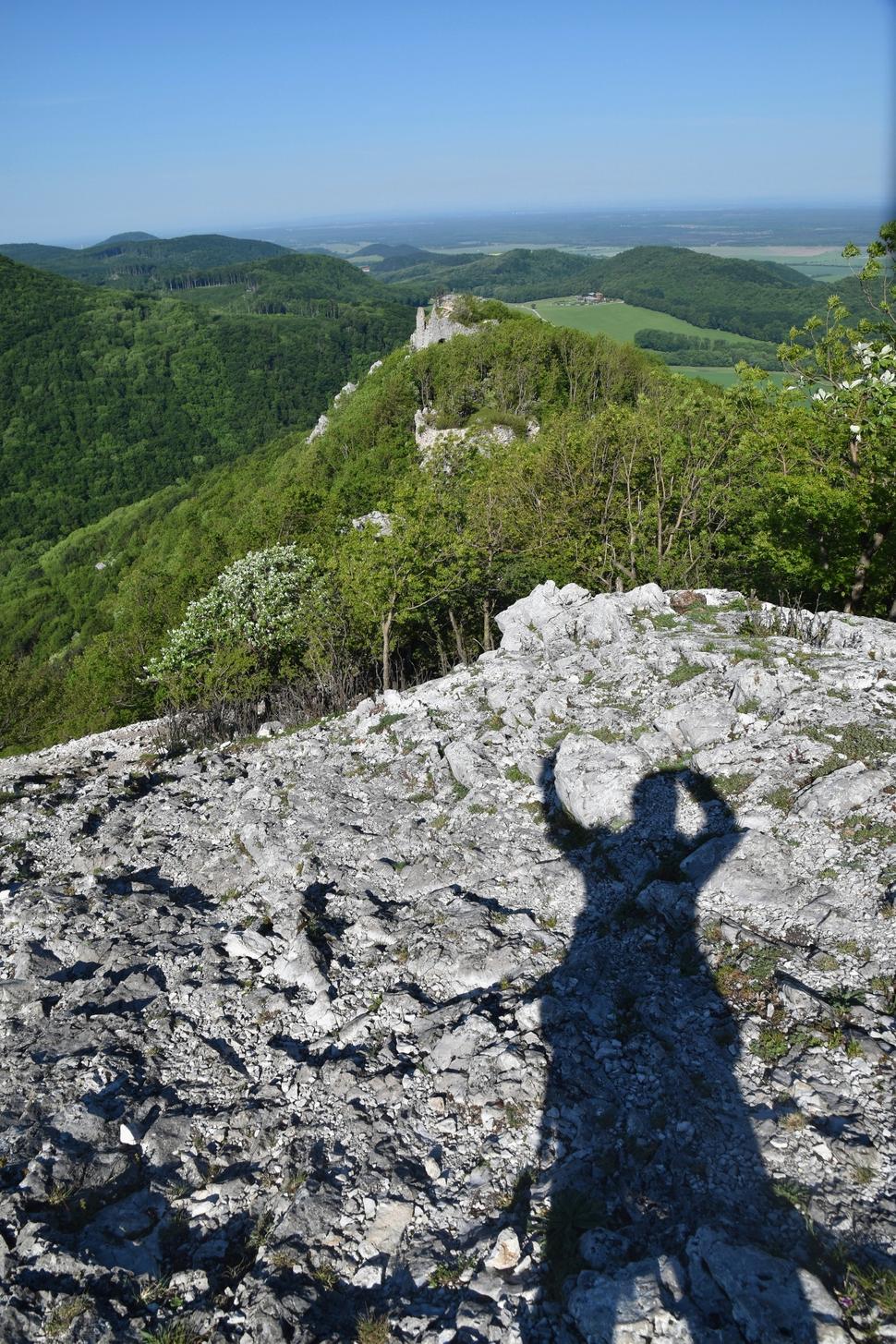 Obrázok blogu