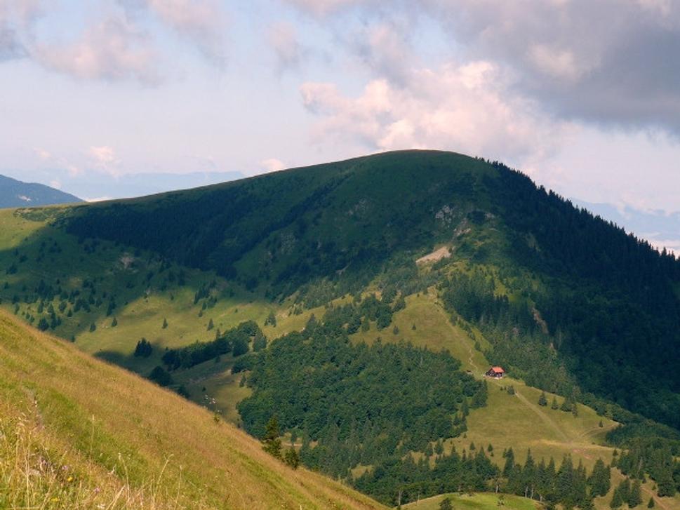 Obrázok blogu