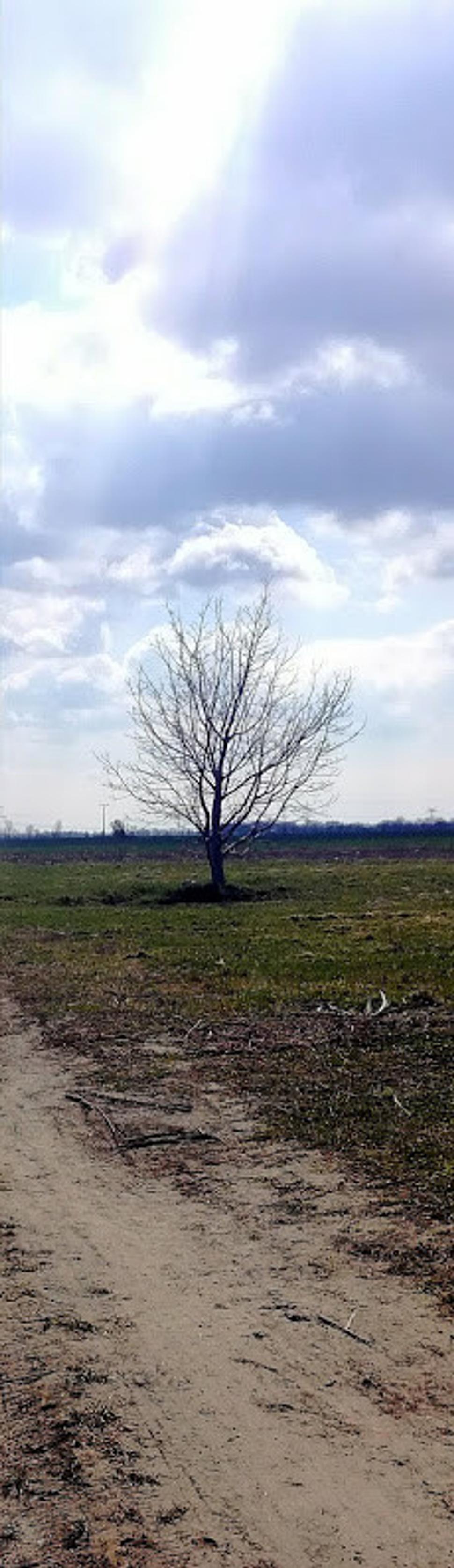 Bernolákovo