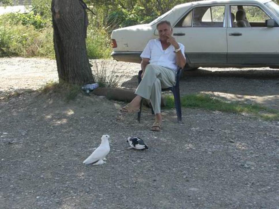 Obrázok blogu