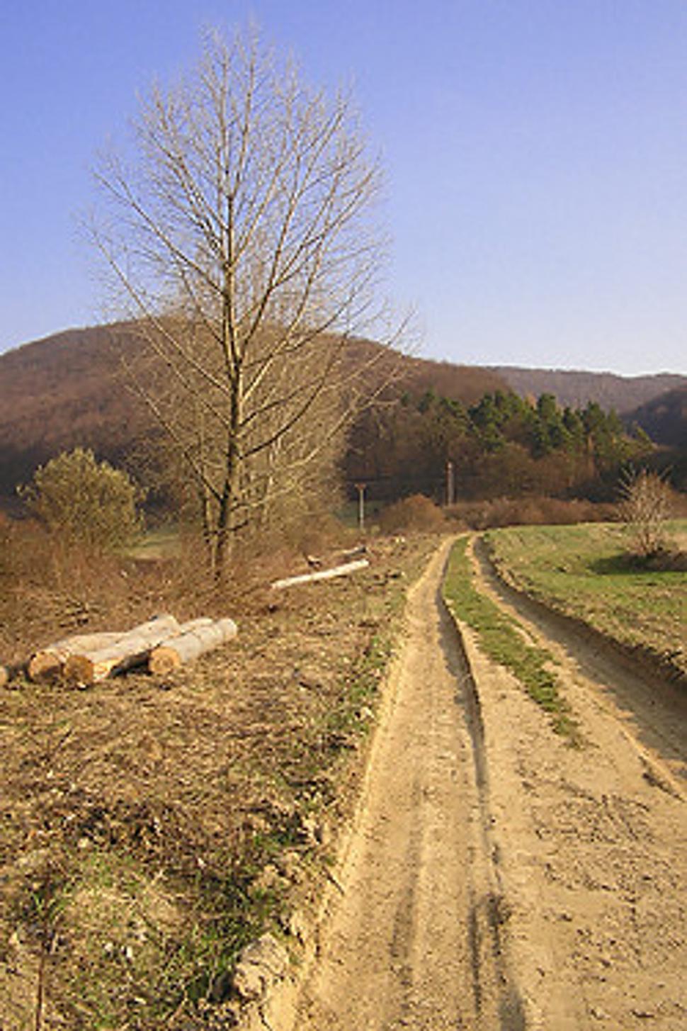 Obrázok blogu
