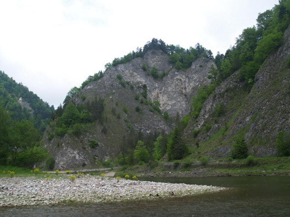 Obrázok blogu