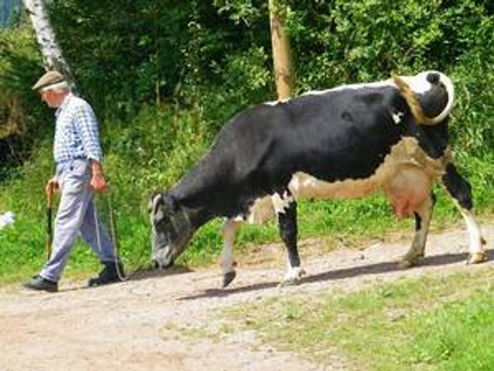 Život v Oščadnici