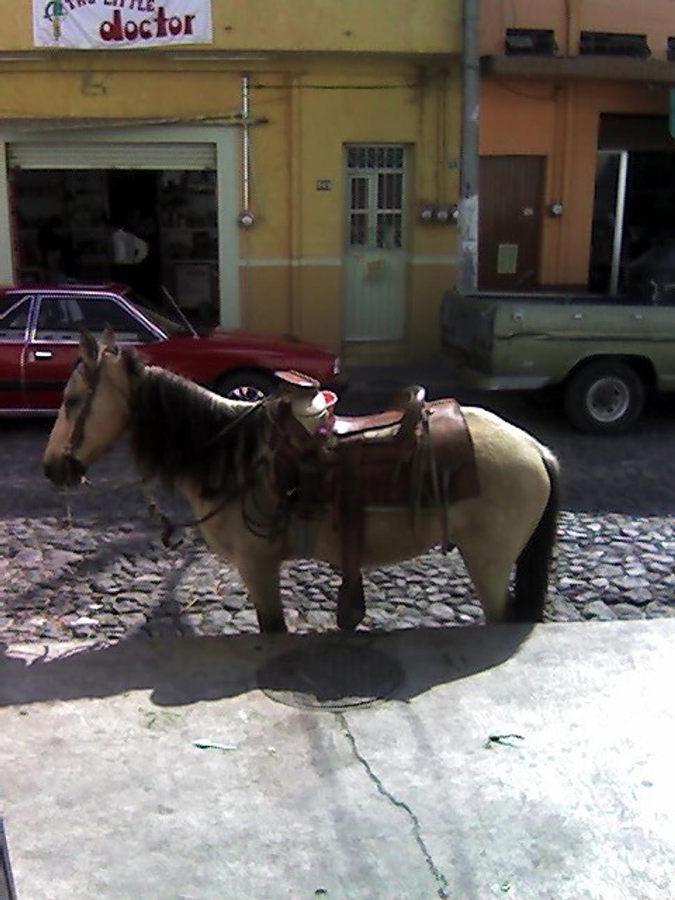 Obrázok blogu