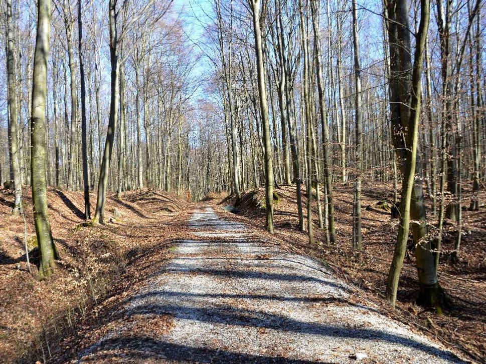 násyp lesnej železnice
