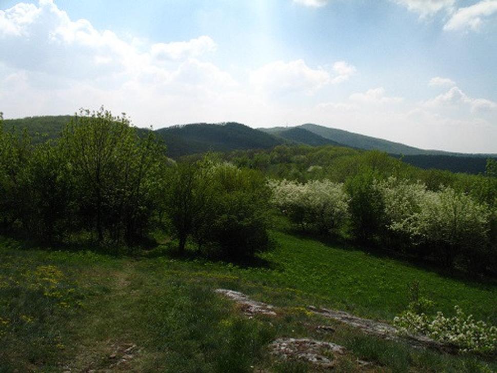 Obrázok blogu