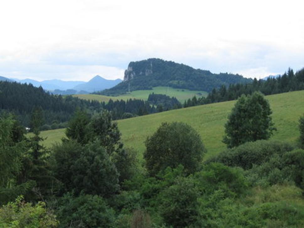 Obrázok blogu