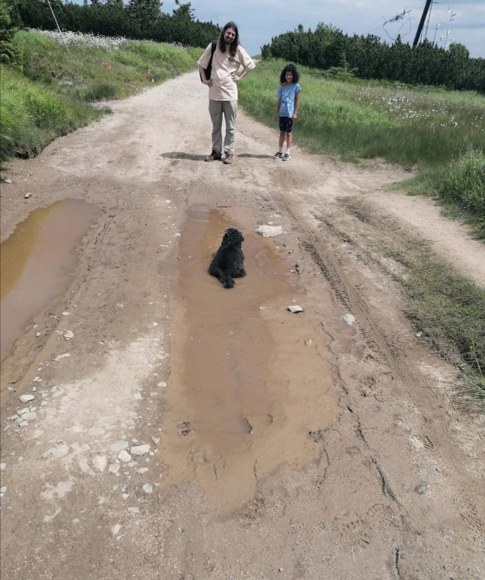 paráda!