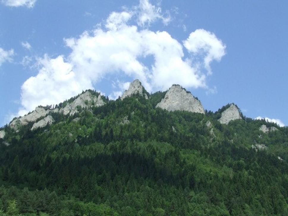 Obrázok blogu