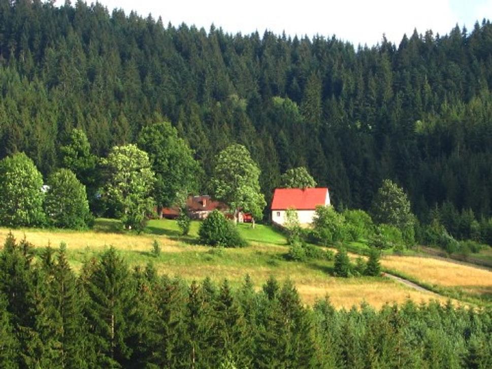 Obrázok blogu