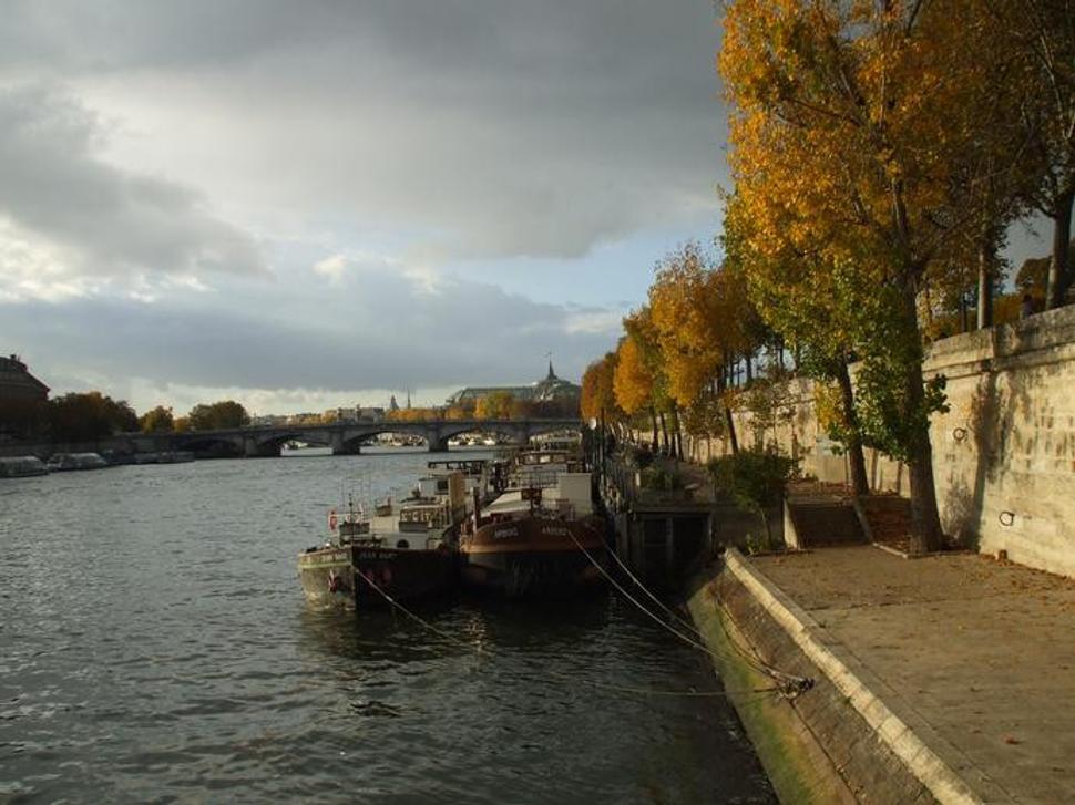 Seine
