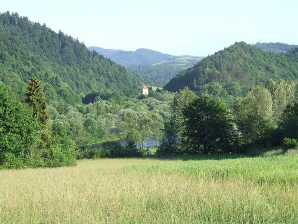 Obrázok blogu