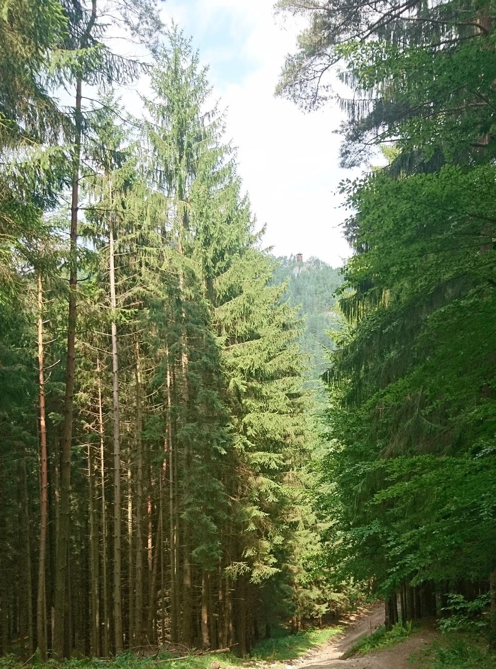 Hore na kopci rozhľadňa Špičák