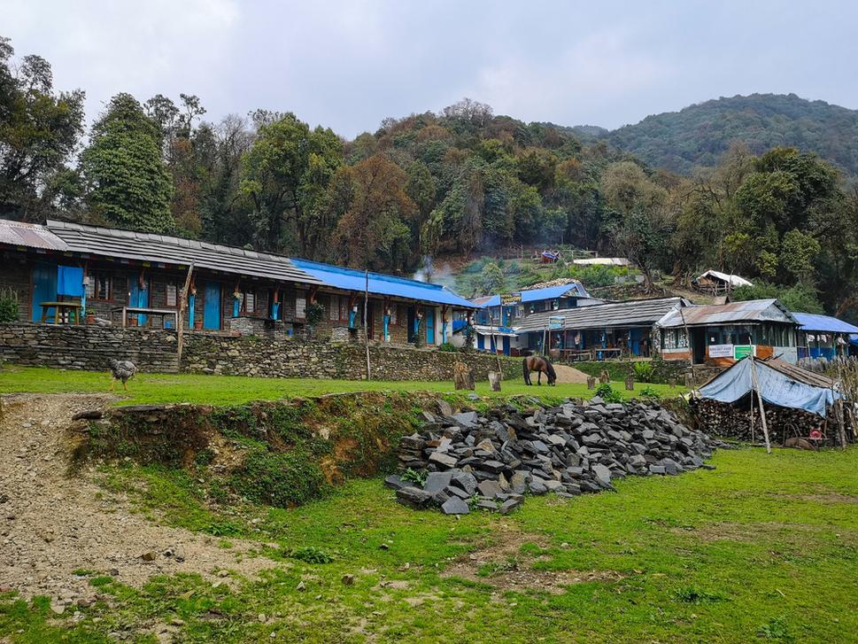 Forest kemp, Mardi Himal base camp trek v Nepále