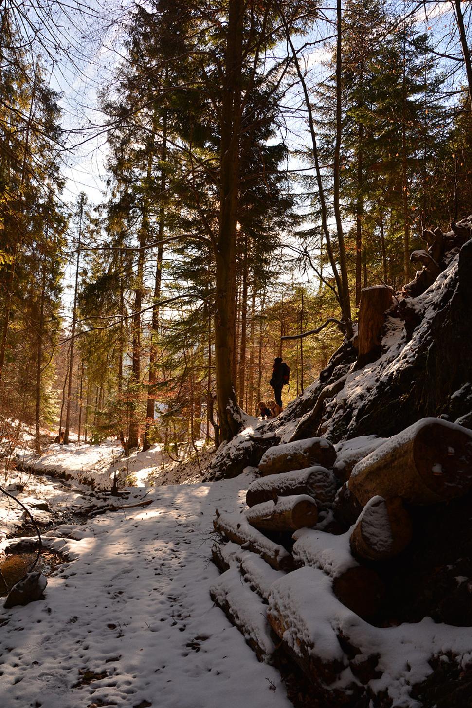 smer Kopytovská dolina