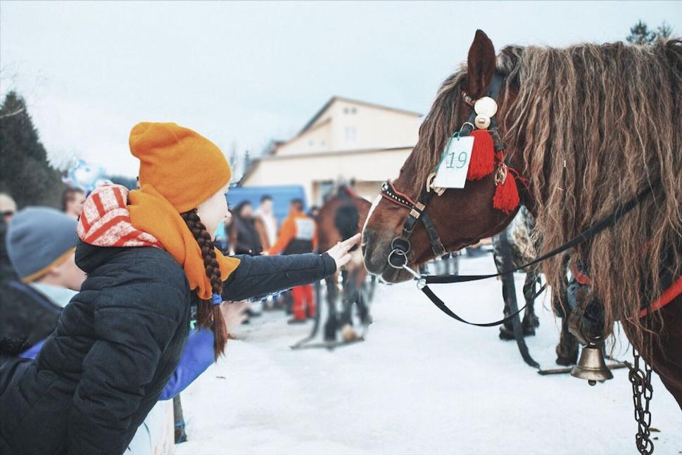 Hore: Mladé dievča využilo blízkosť k súťažnému koňovi, aby mu doprialo pohladenie.
