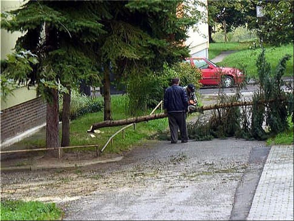 Obrázok blogu