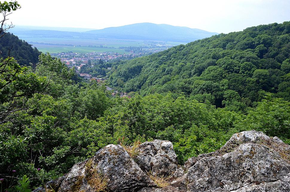 Obrázok blogu
